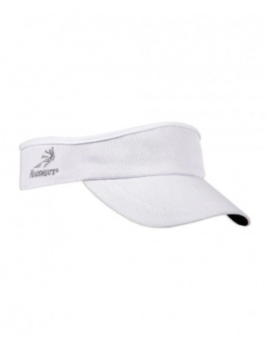 Visor RC Rapperswil-Jona